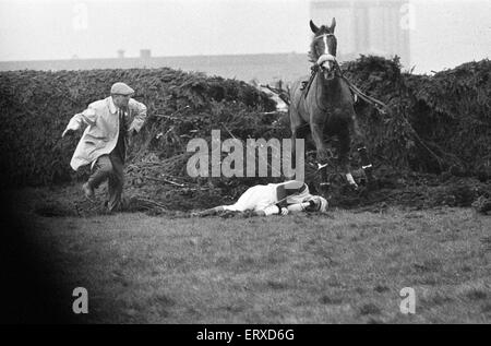 Jockey Paddy Farrell wird von seinem Pferd Grenze Flug am 15. Zaun von der Grand National in Aintree ausgelöst.  Farrell brach den Rücken bei dem Unfall und war an den Rollstuhl gefesselt. 21. März 1964. Stockfoto