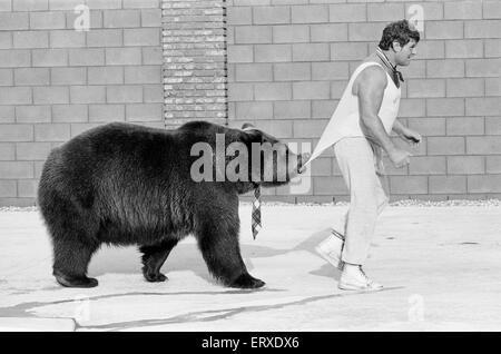 Hercules der Grizzlybär mit Besitzer Andy & Maggie Robin, auf seine neue Heimat in Kalifornien, USA, 10. Februar 1983. Die Verbindung ist in Newhall, 40 Meilen von Los Angeles. Stockfoto