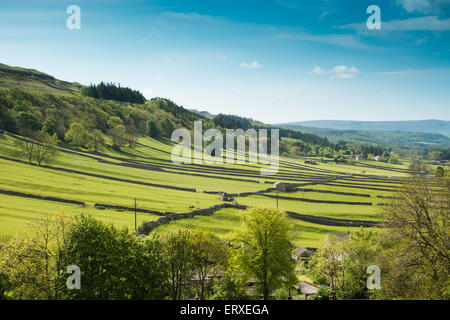 Nach unten Wharfedale von oben Kettlewell in den Yoerkshire Dales anzeigen Stockfoto