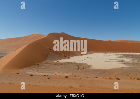 Panorama der roten Dünen von Hidden Vlei, Sossusvlei Namibia Stockfoto