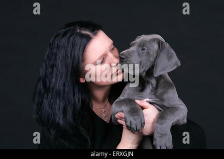 Frau und Deutsche Dogge Welpen Stockfoto
