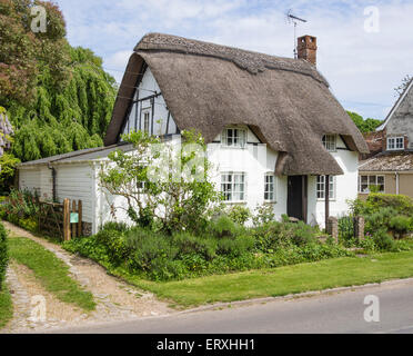 Reetdachhaus in Dorf von Martin, Hampshire, England, Großbritannien Stockfoto