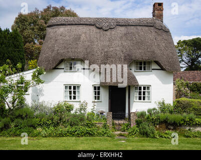 Reetdachhaus in Dorf von Martin, Hampshire, England, Großbritannien Stockfoto