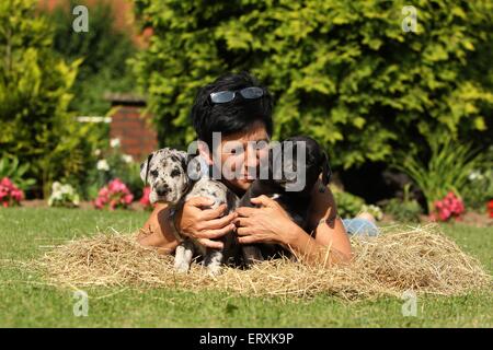 Frau und Deutsche Dogge Welpen Stockfoto