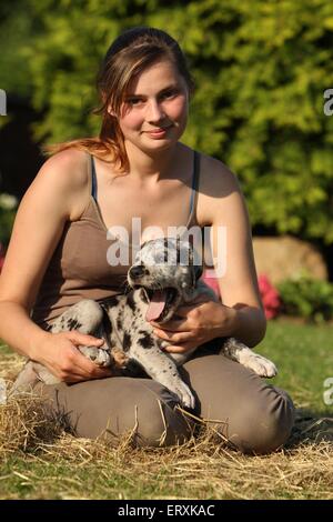 Frau und Deutsche Dogge Welpen Stockfoto