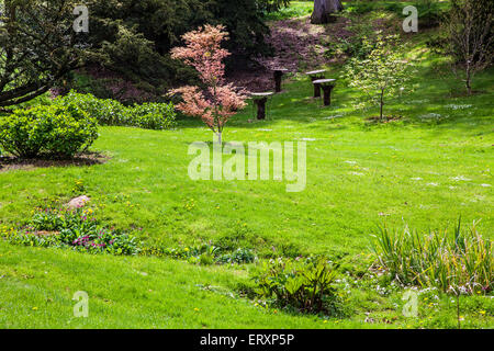 Die Jubiläums-Garten in den Wäldern des Weingutes Bowood in Wiltshire. Stockfoto