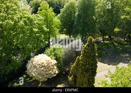 Frühling-Bäume in Brandon Hill Park, Bristol UK - gesehen von Cabot Tower in Brandon Hill Park, Bristol UK Stockfoto