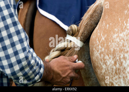 Mann ein Polo Pony Tail abkleben Stockfoto