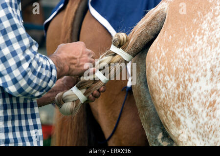 Mann ein Polo Pony Tail abkleben Stockfoto