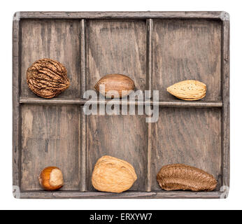 eine Vielzahl von Nüssen (Walnuss, Pekannuss, Haselnuss, Brasilianer und Mandel) in einer rustikalen Schatten Holzkiste, isoliert auf weiss Stockfoto