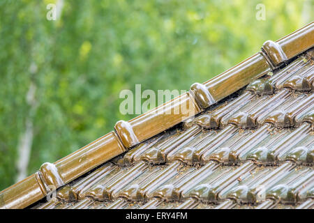 Schöne braune Dach mit keramischen Fliesen Stockfoto