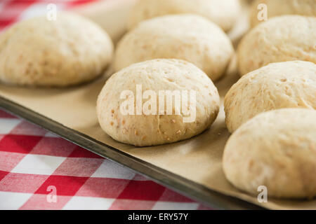 Vollkorn Brötchen Roggen steigt auf ein Backblech legen Stockfoto