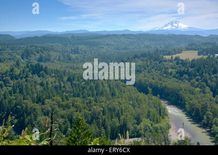 Jonsrud Sicht Wald und Mt. Hood in Sandy Oregon. Stockfoto