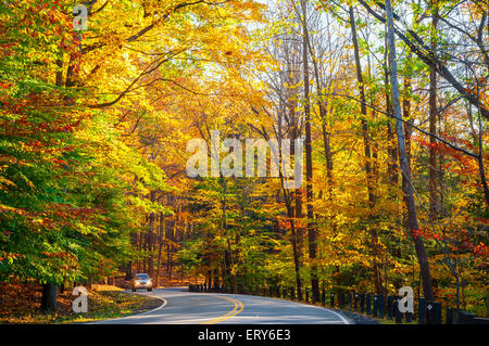 Ein kleiner LKW nähert sich auf kurvigen Straße durch einen sonnigen Herbst Wald klettern. Stockfoto