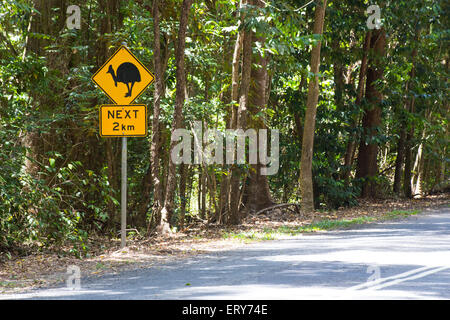 Road Sign Warnung zum Schutz der südlichen Helmkasuar (Casuarius Casuarius) im Großraum Daintree, Queensland, Australien Stockfoto