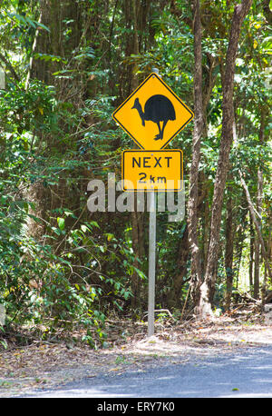 Road Sign Warnung zum Schutz der südlichen Helmkasuar (Casuarius Casuarius) im Großraum Daintree, Queensland, Australien Stockfoto