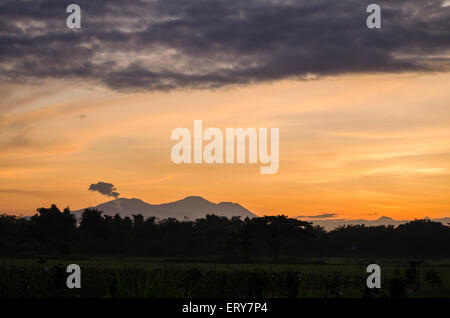 Sonnenaufgang in Reis Stockfoto