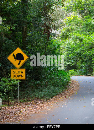 Road Sign Warnung zum Schutz der südlichen Helmkasuar (Casuarius Casuarius) im Großraum Daintree, Queensland, Australien Stockfoto