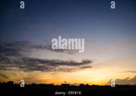 Sonnenaufgang in Reis Stockfoto