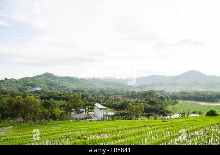 Tulungagung Blick auf das Dorf in der Stadt, Ost-Java, Indonesien Stockfoto