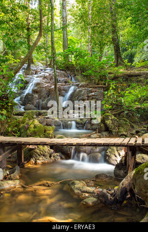 Tropischer Regenwald-Landschaft mit Holzbrücke über den schönen Bach mit Kaskaden in Thailand Stockfoto