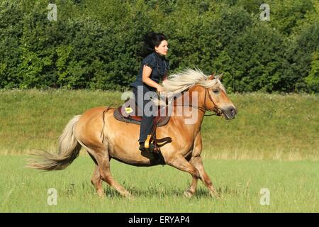 Frau reitet auf Haflinger-Pferd Stockfoto