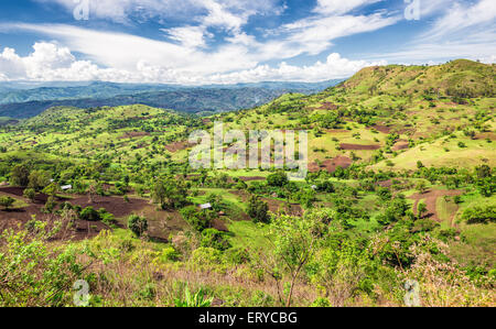 Blick auf das Bonga Forest Reserve im Süden Äthiopiens Stockfoto