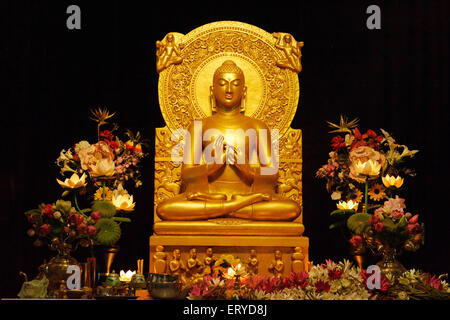 Lord Buddha Gold goldene Statue im Mulagandha Kuti Vihara Kloster, Sarnath, Varanasi; Uttar Pradesh, Indien, Asien Stockfoto