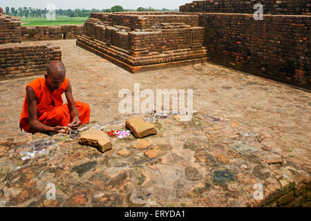 Beten an buddhistischen Mönch; Sarasvati; Uttar Pradesh; Indien Stockfoto