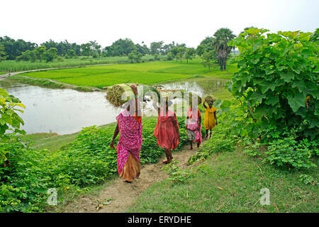 Dorfleben; Kesariya, Salimpur; Buddha-Stupa; Bihar; Indien Stockfoto