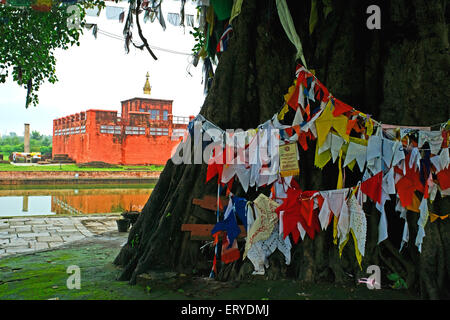 Buddhistische Gebetsfahnen, Gautam Buddha Geburtsort, UNESCO-Weltkulturerbe, Lumbini; Nepal, Asien Stockfoto