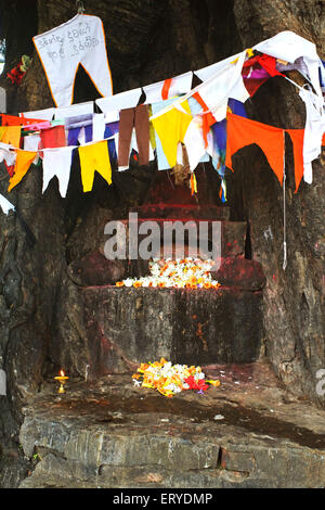 Buddhistische Gebetsfahnen, Gautam Buddha Geburtsort, UNESCO-Weltkulturerbe, Lumbini; Nepal, Asien Stockfoto