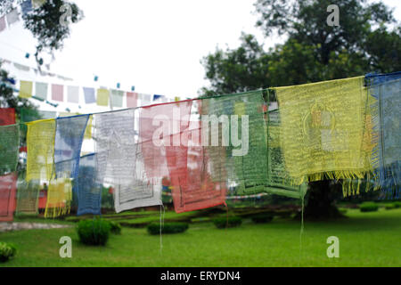 Buddhistische Gebetsfahnen, Gautam Buddha Geburtsort, UNESCO-Weltkulturerbe, Lumbini; Nepal, Asien Stockfoto