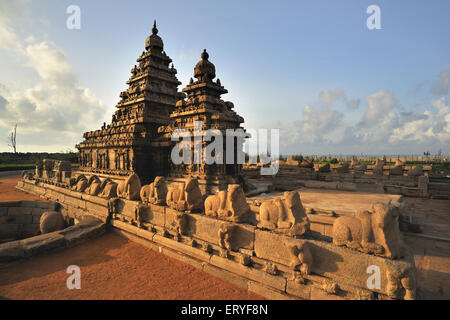 Ufertempel, Mamallapuram, Mahabalipuram, Chengalpattu, Chennai, Tamil Nadu, Indien Stockfoto