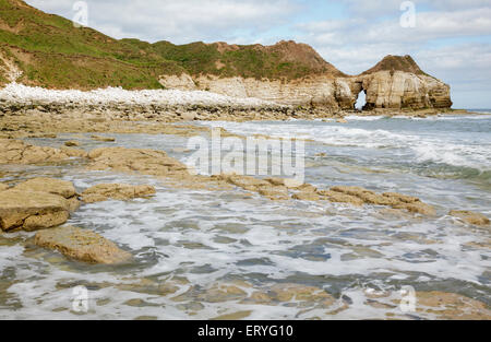 Thornwick Bay, Flamborough, Bridlington, Yorkshire, England Stockfoto