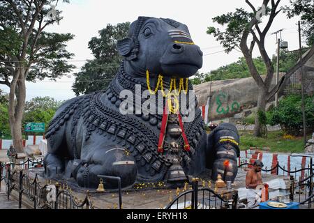 Nandi-Stier am Chmudi Tempel; Chamudihill; Mysore; Karnataka; Indien Stockfoto