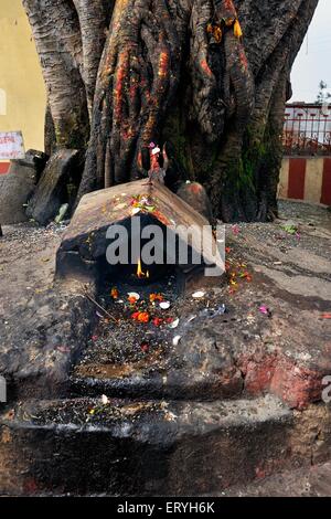 Nanda Devi Tempel, Almora, Uttaranchal, Uttarakhand, Indien, Asien Stockfoto