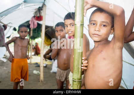 Blick auf Rettungslager (Relief); Hochwasser am Kosi Fluß im Jahr 2008; Purniya Bezirk; Bihar; Indien Stockfoto