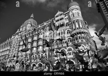 alten Taj Hotel in Mumbai in Maharashtra, Indien Stockfoto