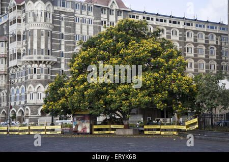 alten Taj Hotel in Mumbai in Maharashtra, Indien Stockfoto