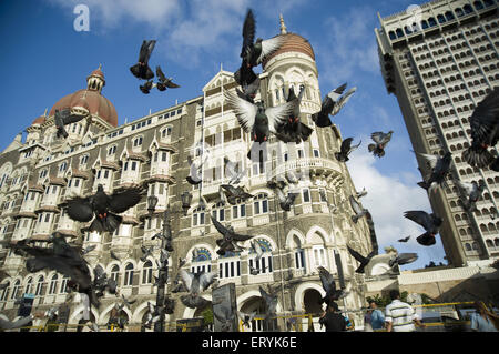 Taj Cin Mumbai in Maharashtra, Indien Stockfoto