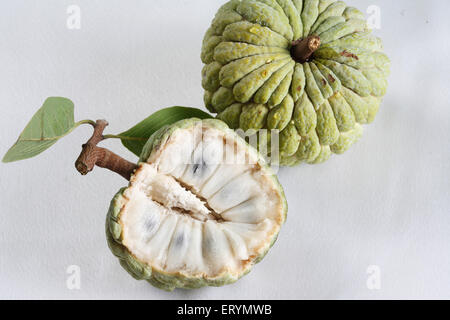 eine vollständige und eine Hälfte Custard Apple Zucker Apfel Annona Squamosa auf weißem Hintergrund Stockfoto