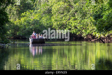 Touristenboot auf dem Daintree River, Queensland, Australien Stockfoto