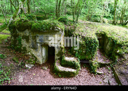 Deutsche WWI Betonbunker mit ursprünglichen Inschrift, Ailly Wald, Saint-Mihiel salient, Lothringen, Frankreich Stockfoto