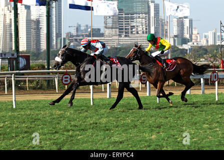 Poonawalla Breeders Million Rennen , Mahalaxmi Rennstrecke , Bombay , Mumbai , Maharashtra , Indien , Indian Derby , Asien Stockfoto