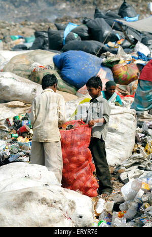 Müllsammler , Mülldeponie , Mülldeponie , Deonar , Bombay , Mumbai , Maharashtra , Indien, Asien, indische Kinder arbeiten Stockfoto