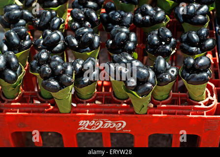 Frucht; Black Plum Syzygium Cumini gehalten für Verkauf in Vagator Beach Goa;  Indien Stockfoto