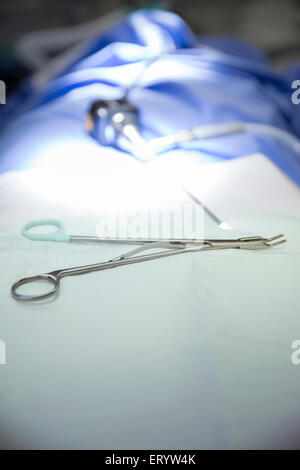 Chirurgische Scheren Stockfoto