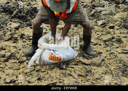 Ölpest Mangroven Schaden Verschmutzung Kontrolle, Elephanta Island, Mumbai Hafen, Bombay, Mumbai, Maharashtra, Indien, Asien Stockfoto