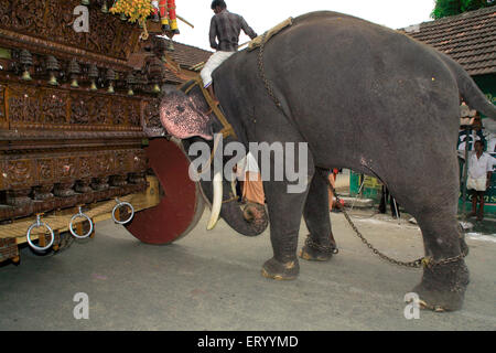 Elefant schiebt rath, Ratholsavam Chariot Festival; Palghat, Palakad, Palakkad, Kerala, Indien, Asien Stockfoto